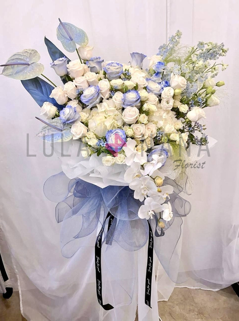 photo_2024-01-06_22-35-02 W