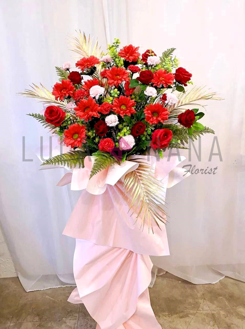 photo_2024-02-20_11-28-22 W