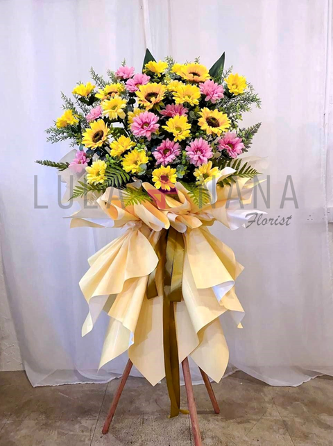 photo_2024-02-20_11-28-14 W