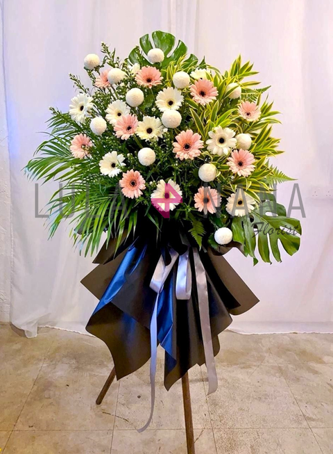 photo_2024-02-26_12-22-09 W