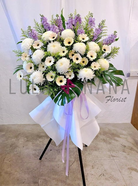 photo_2024-03-07_15-16-27 W