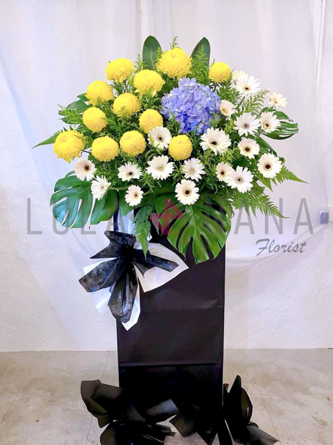 photo_2024-03-07_15-17-12 W