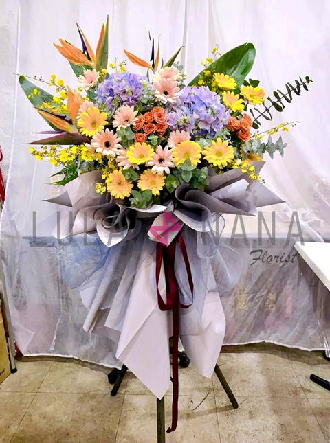 photo_2024-01-28_19-07-58 W