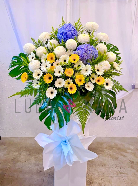 photo_2024-03-07_15-17-07 W