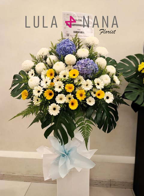 photo_2024-03-07_15-22-57 W