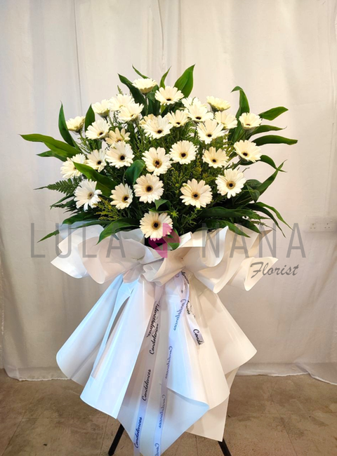 photo_2024-05-06_13-02-53 W