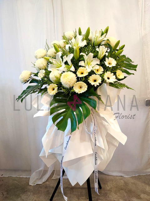 photo_2024-05-06_13-02-48 W