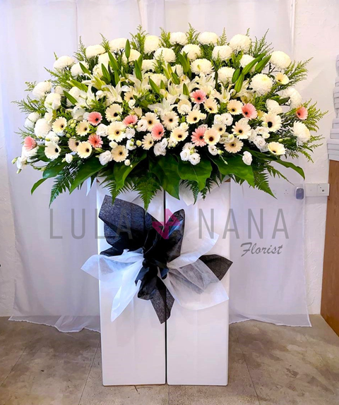 photo_2024-05-14_16-41-26 W