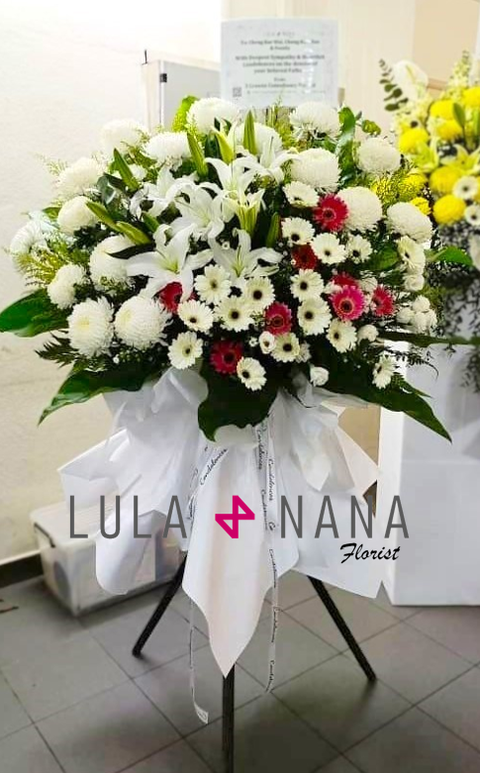 photo_2024-05-21_15-04-23 W