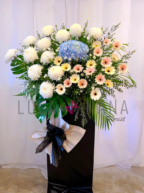 photo_2024-05-14_16-45-17 W