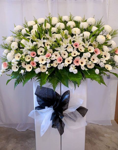 photo_2024-05-14_16-40-48