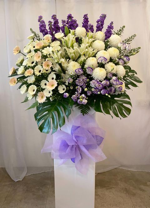 WhatsApp-Image-2025-05-30-at-3.22.59-PM