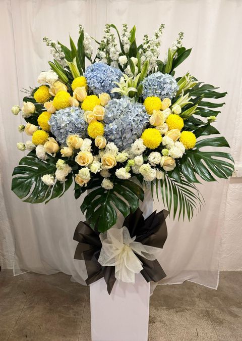 WhatsApp-Image-2025-05-30-at-3.22.58-PM