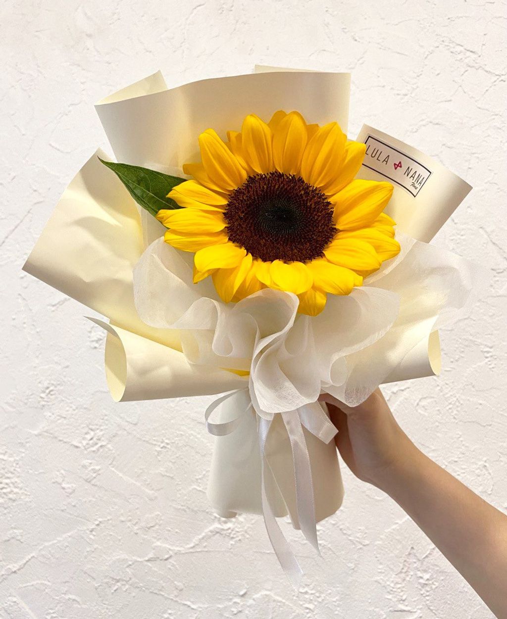 WhatsApp-Image-2025-06-24-at-11.15.30-AM-(5)