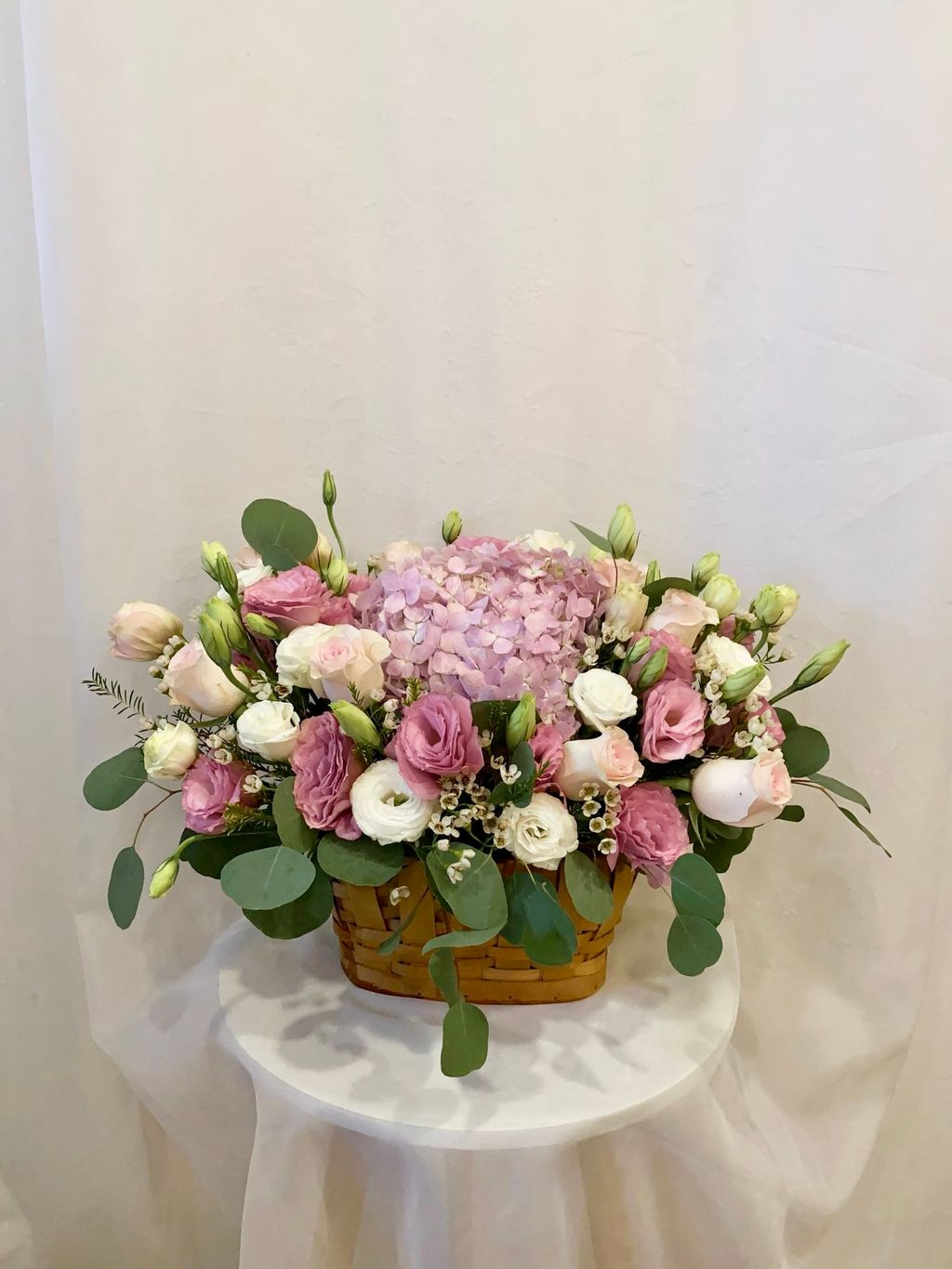 9e207b3a-f076-472a-a5dc-2b7f47a8b71a