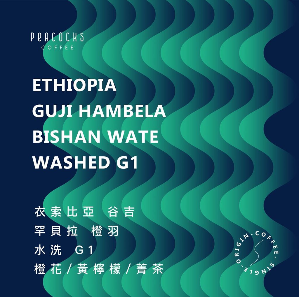 衣索比亞 橙羽 水洗