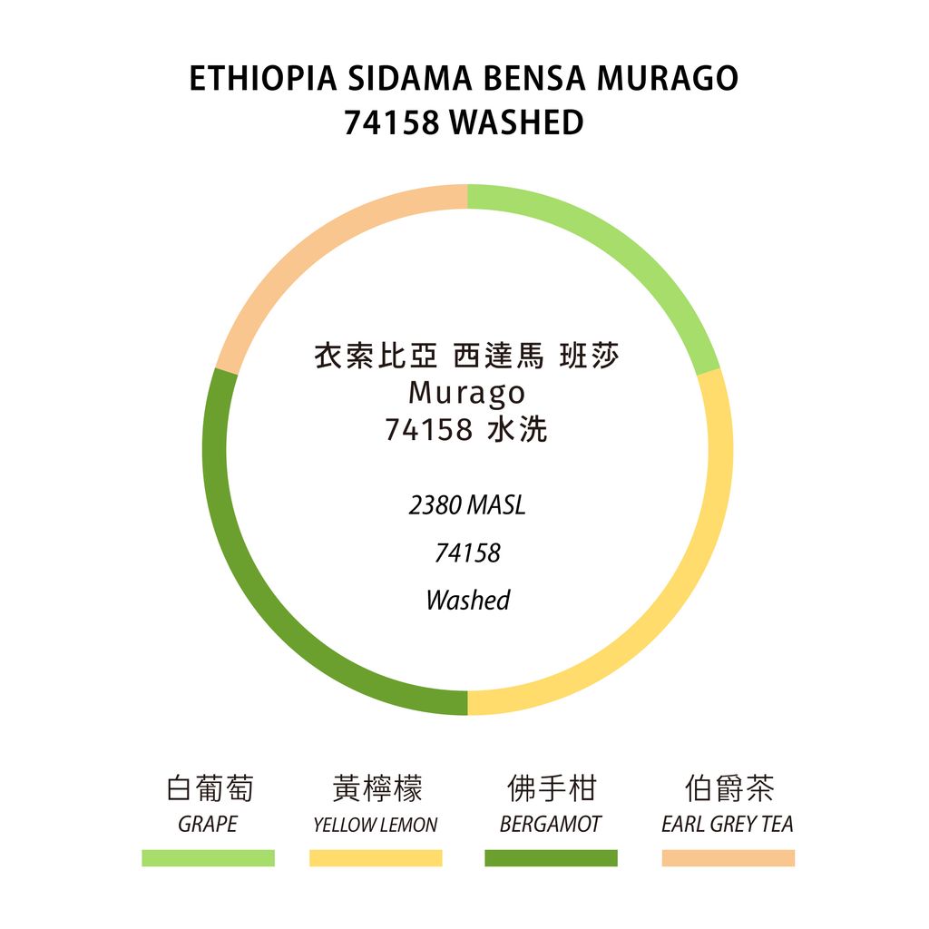 murago風味輪_工作區域 1 複本 19