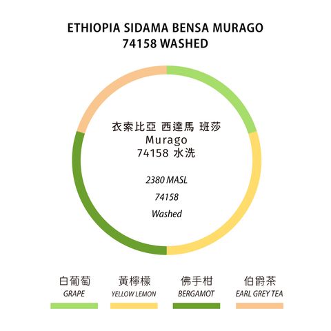 murago風味輪_工作區域 1 複本 19