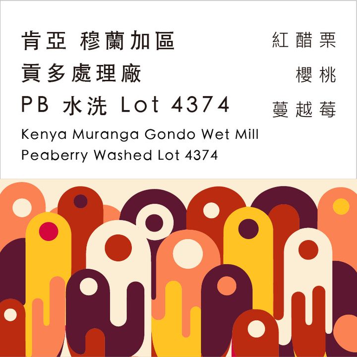 2025豆卡-33