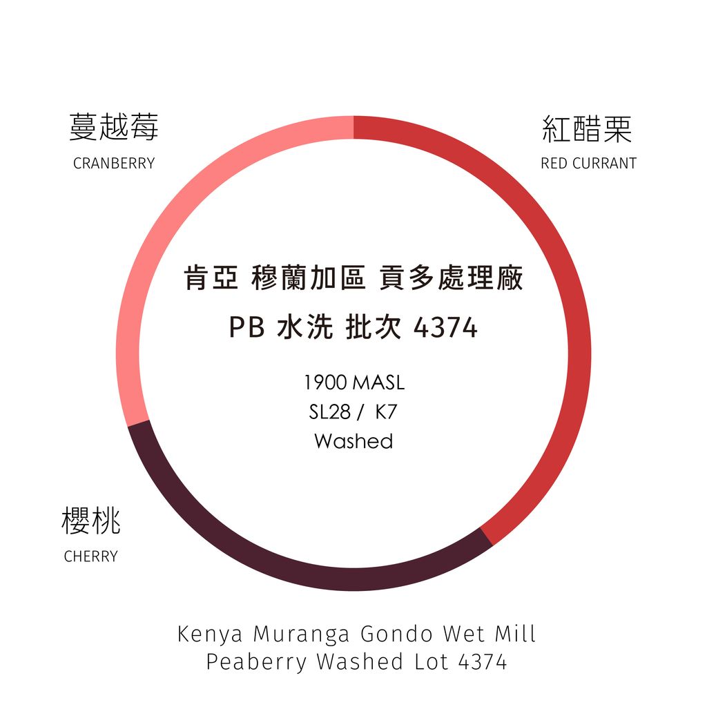 2026_01_工作區域 1 複本 14