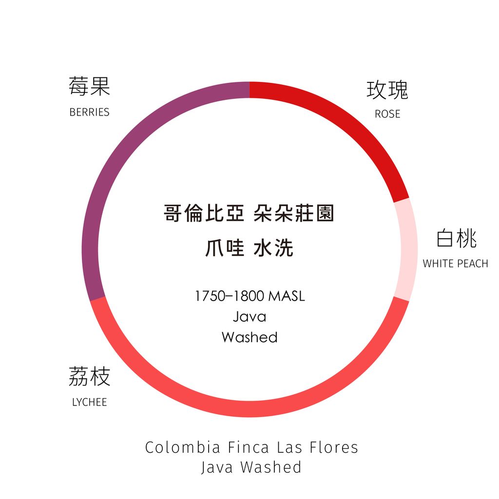風味輪_工作區域 1 複本 17