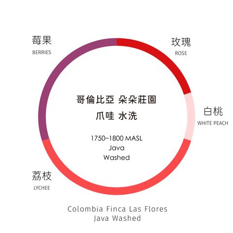 風味輪_工作區域 1 複本 17