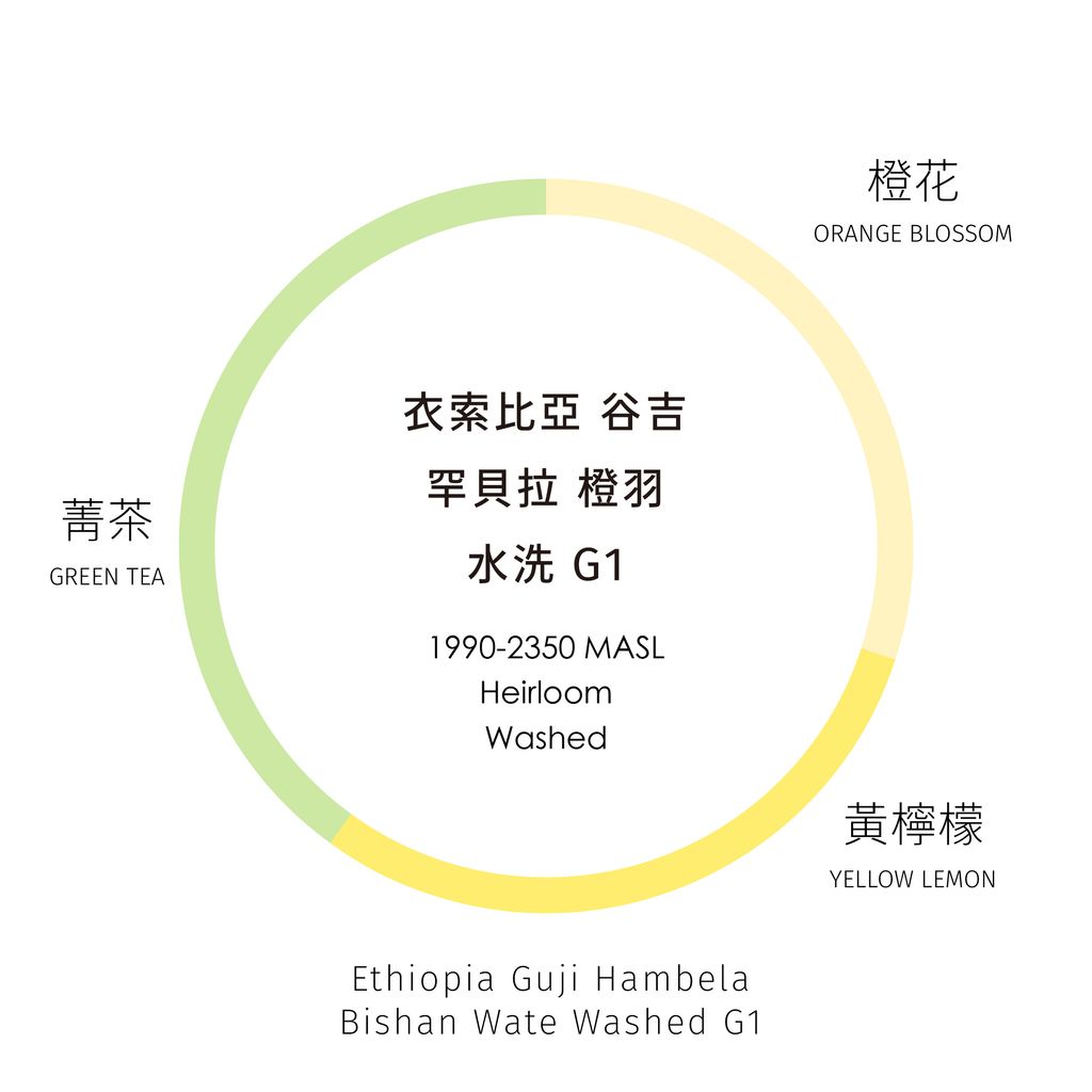 風味輪_工作區域 1 複本 16
