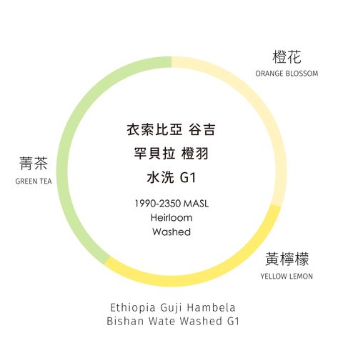 風味輪_工作區域 1 複本 16