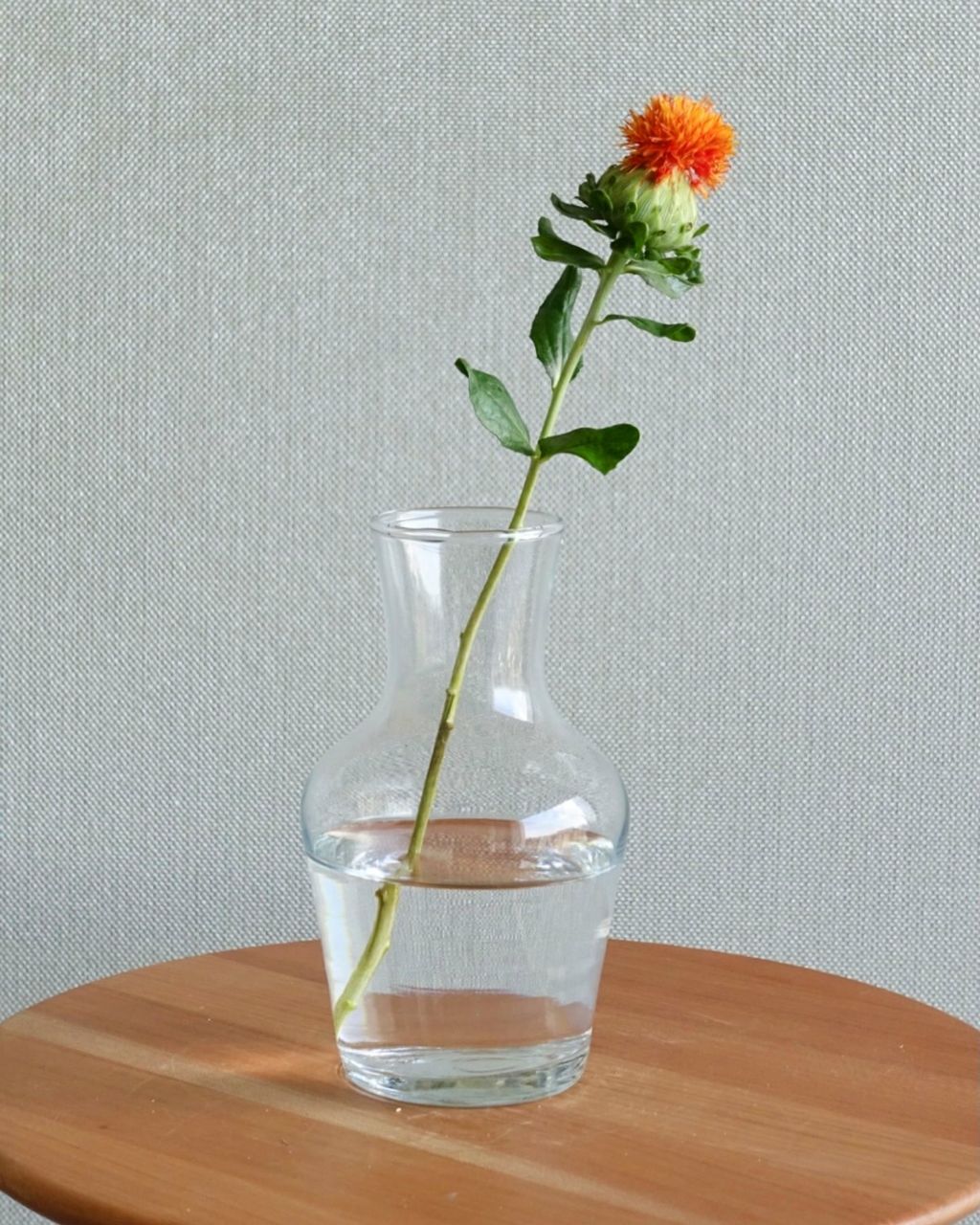 AEFBC329-57D7-45CD-AE32-F63CE7701321 (1) (1).jpg