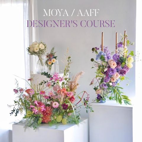 image_368CD963-D511-43D3-9CFC-FC5A745BF0EB_1759293087