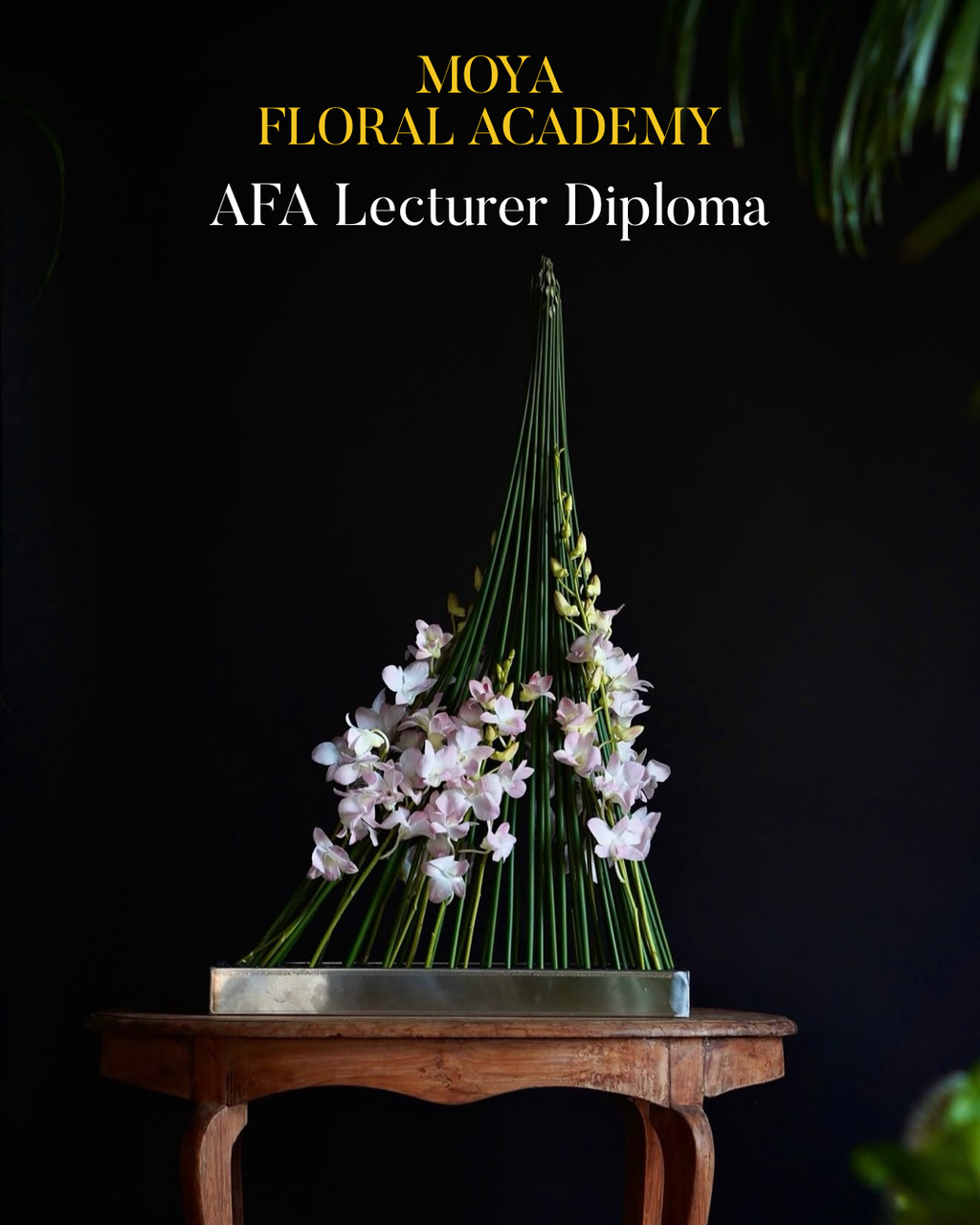 image_0CD39B9F-F889-4CF4-8E3F-C811188B3E2D_1764172165