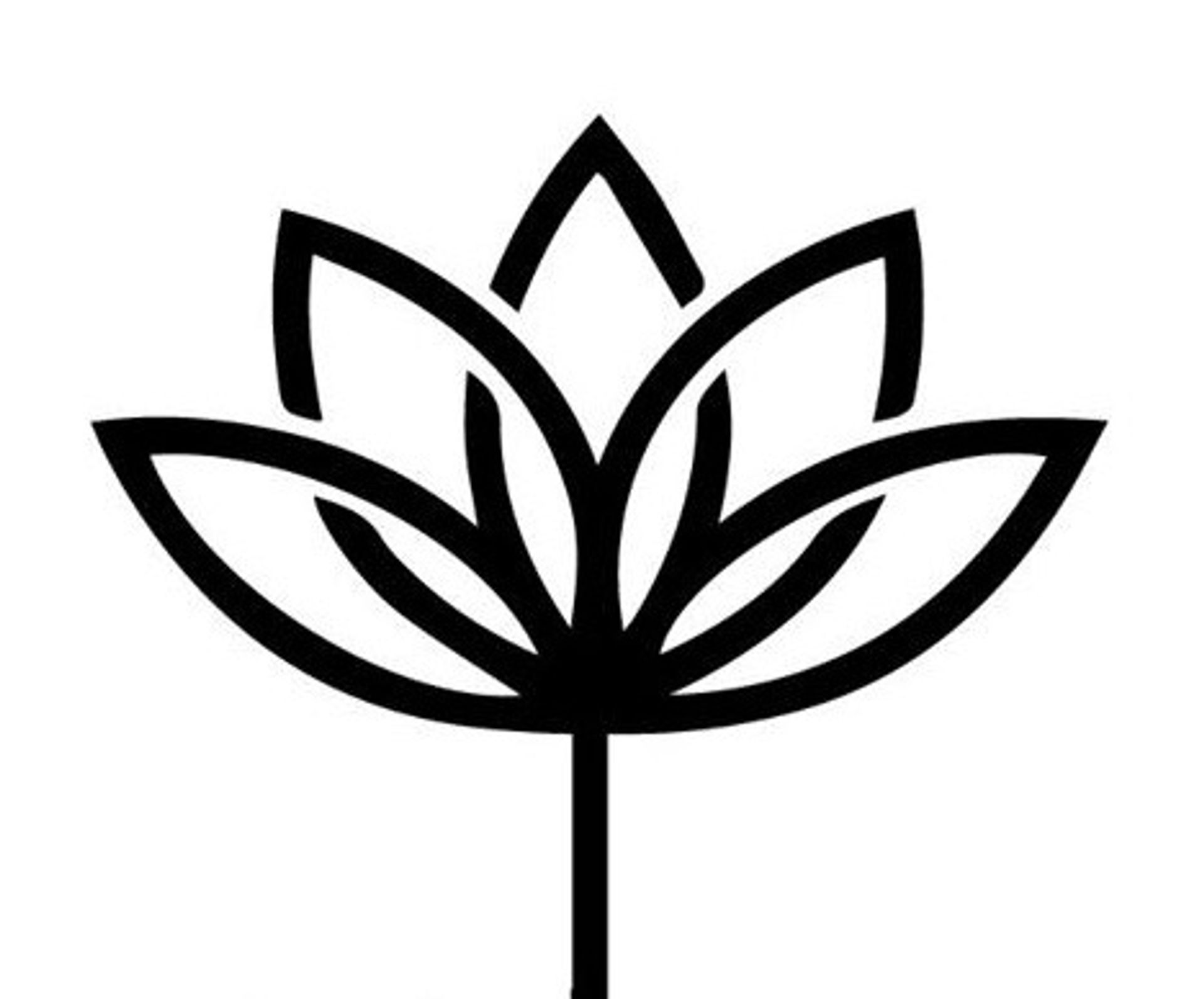 Snowy Flower - About Snowy Flower