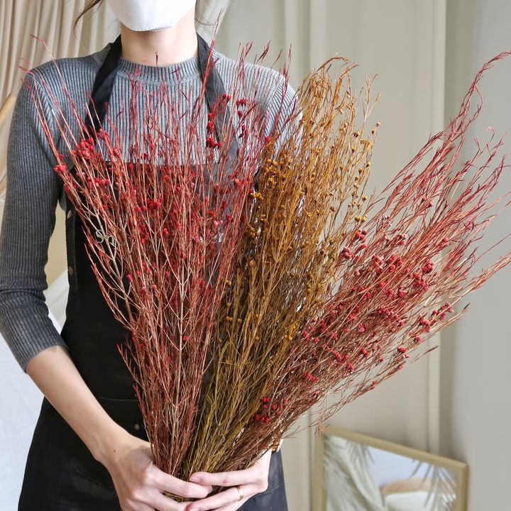 IMG_0433.jpg