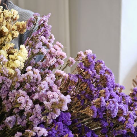 Bunch of dried flowers Phalaris blue by LALOVLIY Magdeburg