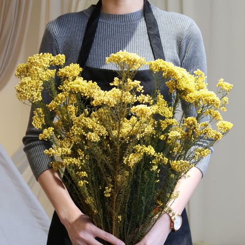 Bunch of dried flowers Phalaris blue by LALOVLIY Magdeburg