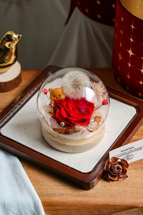 image_8C8B7D51-4AD7-44B0-9F6C-B9D0EA2C3DFF_1768399422