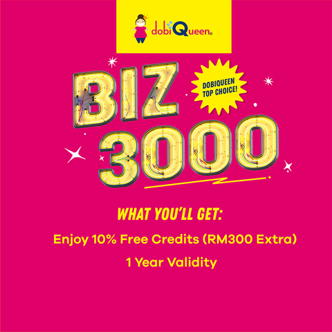 BIZ3000-2