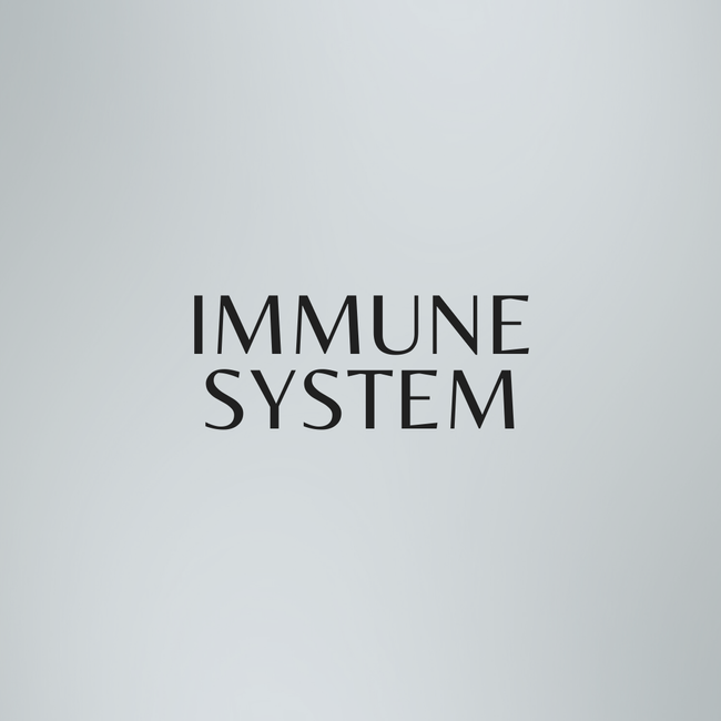 HealthySynergy |  - 