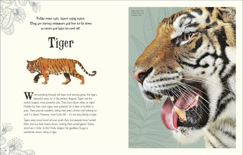 anthology animals 1.jpg