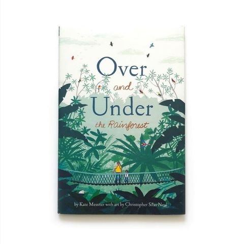 over under rainforest 4.jpg