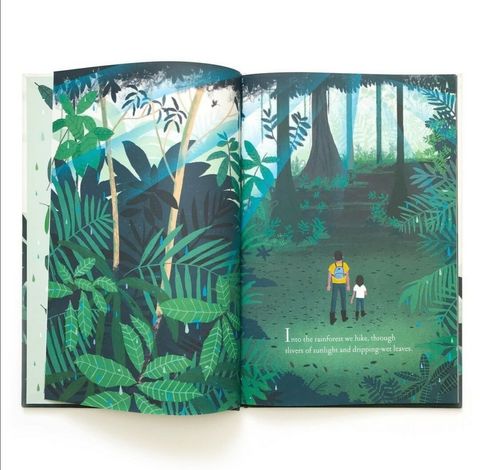 over under rainforest 1.jpg