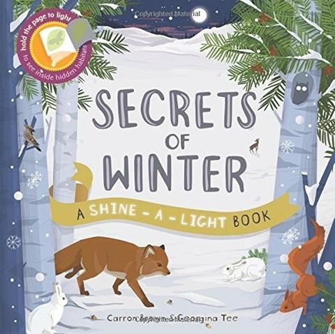 secrets of winter.jpg