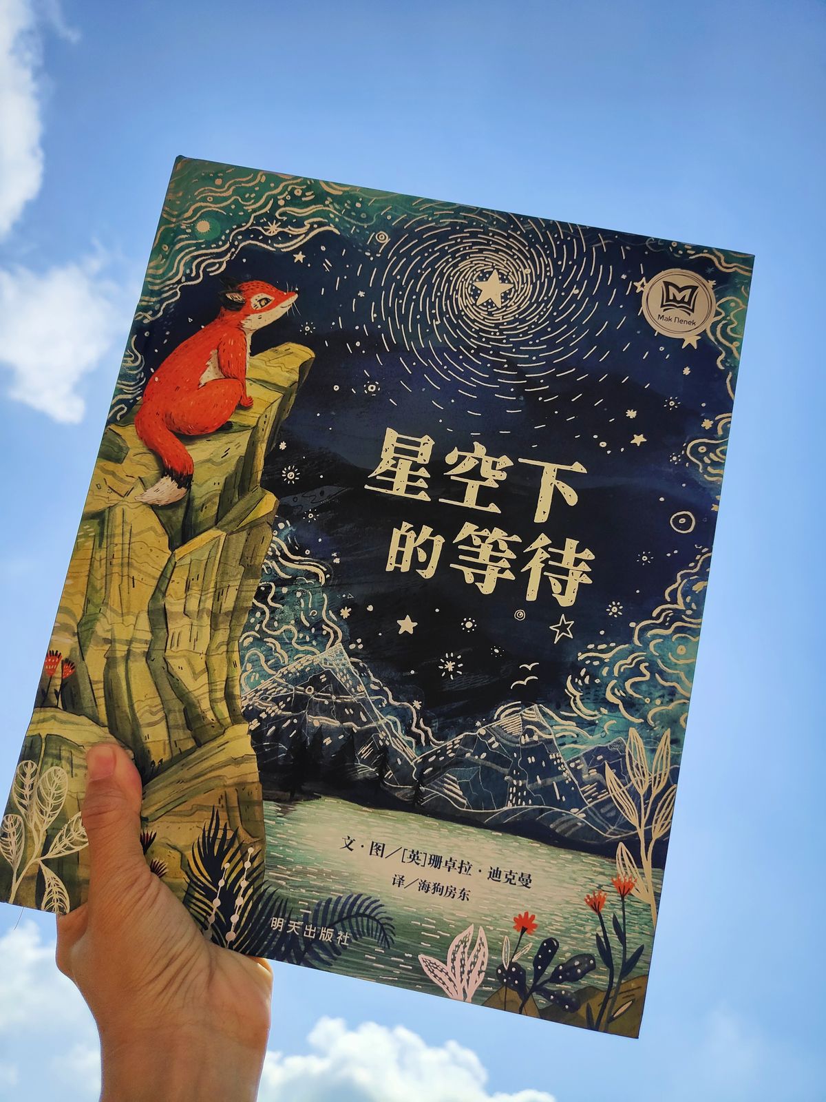 最漂亮的自我疗愈＋生命教育绘本《星空下的等待》