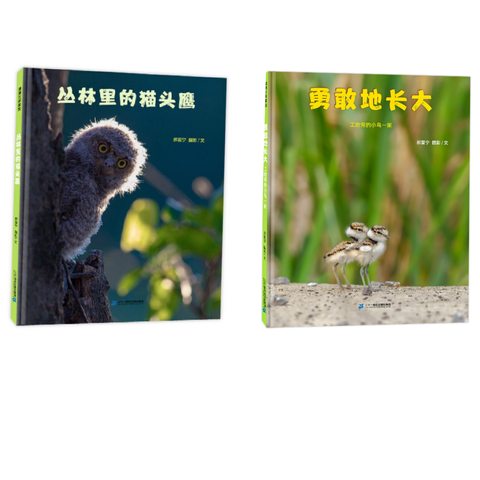 IMG_1648940744793.png