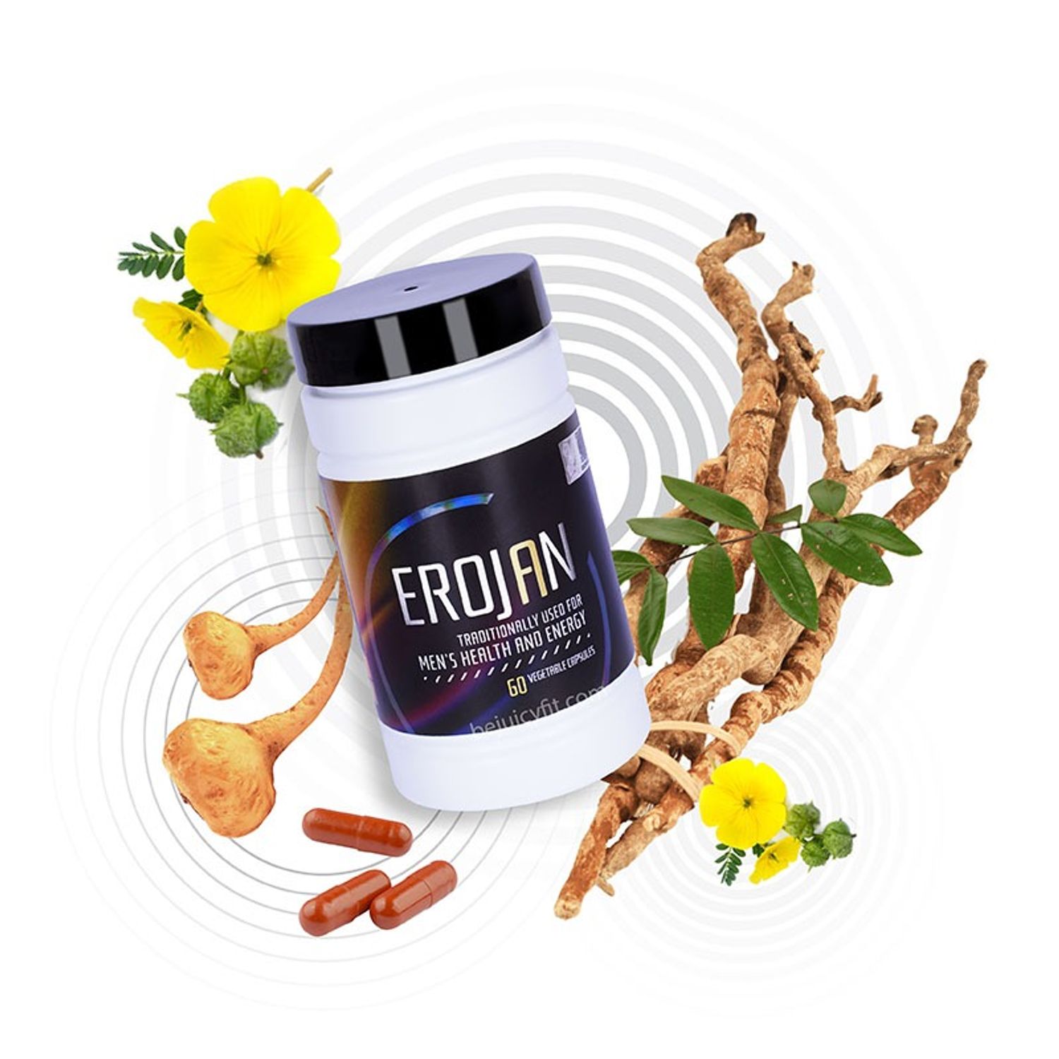 Wellness Pro | EROJAN