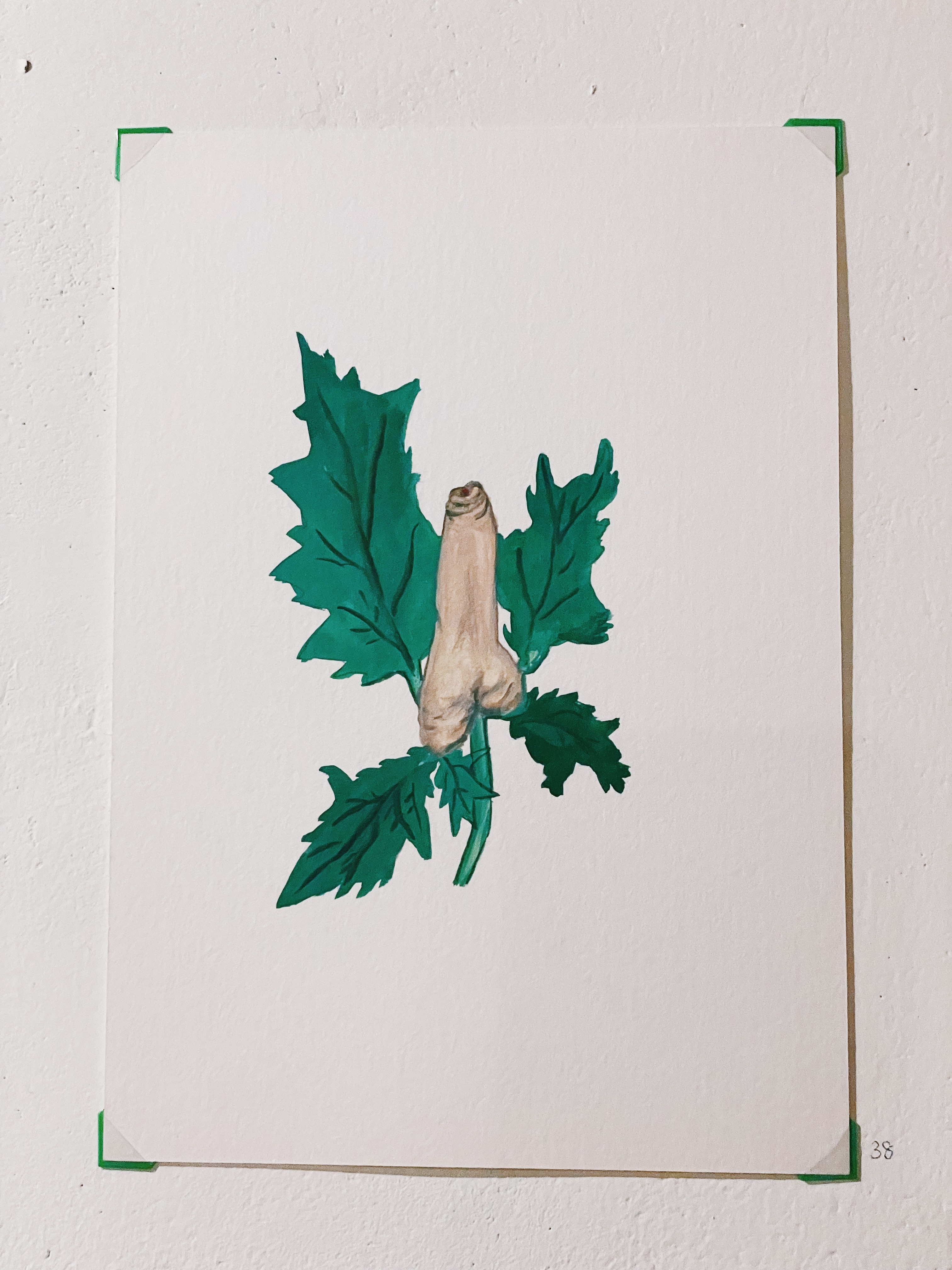 IMG_7126.jpg IMG_7126.jpg