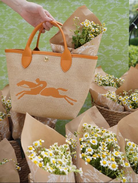 IMG_0271-1733243421986