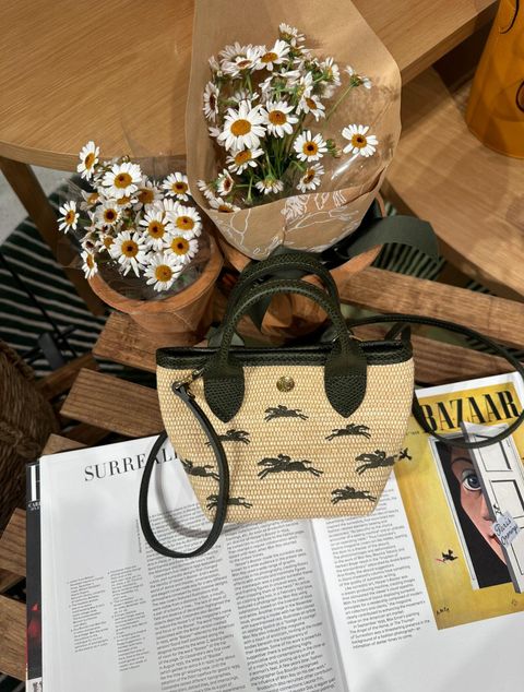 IMG_0299-1733249840067