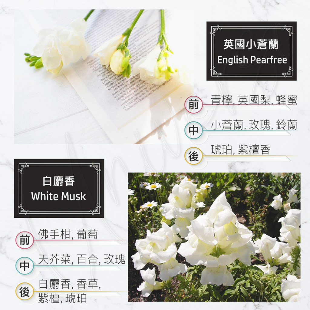 cocodor 經典擴香瓶 200ml 3 LOGO.png