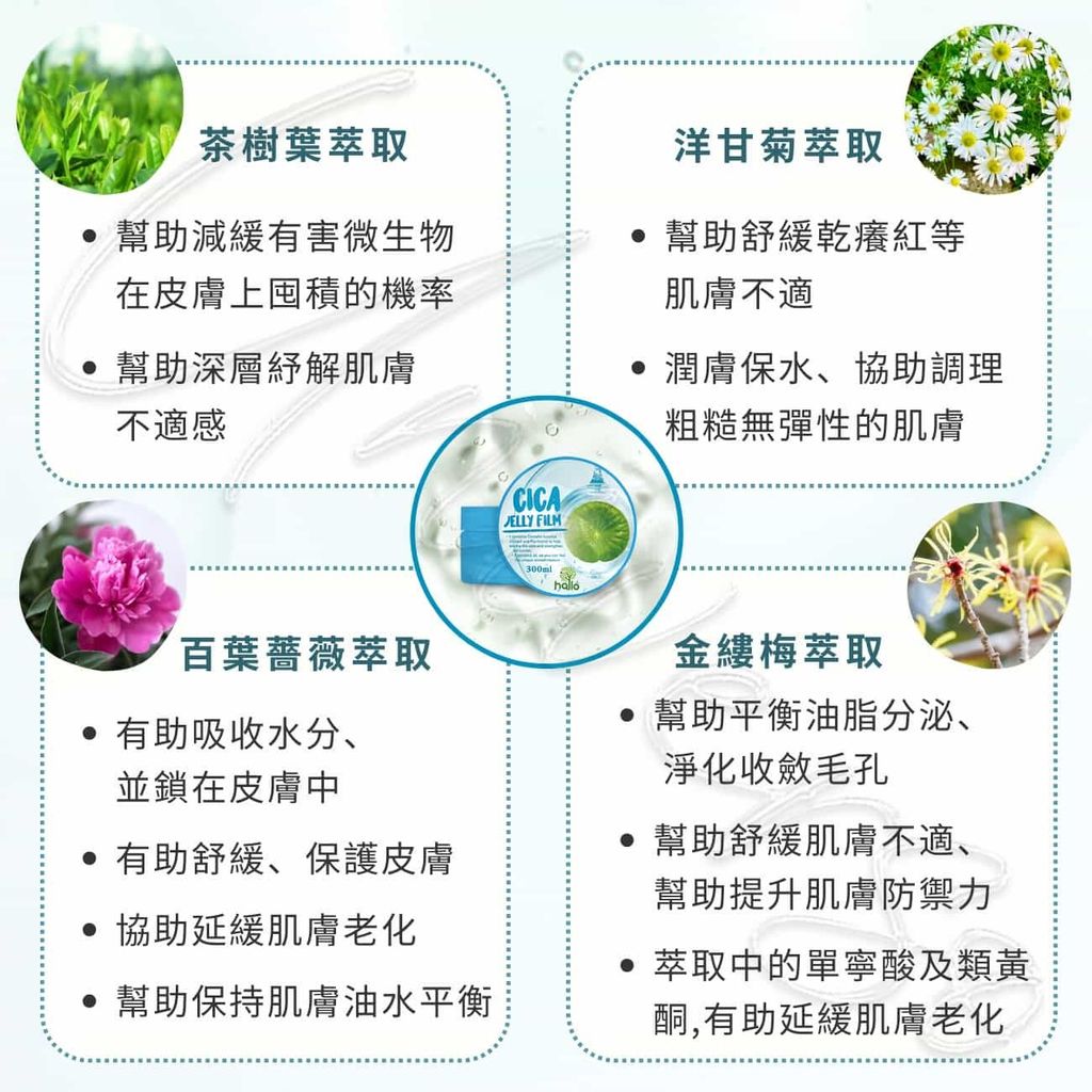 4_8809685570882_universomart宇碩協銷_韓國Hallo Beauty 積雪草凝膠CICA Jelly Film LOGO